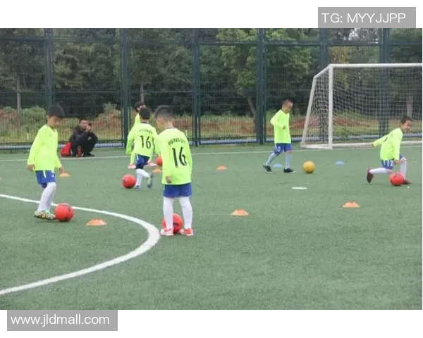 足球臭袜的秘密与传奇：从草地到球场的奇妙旅程